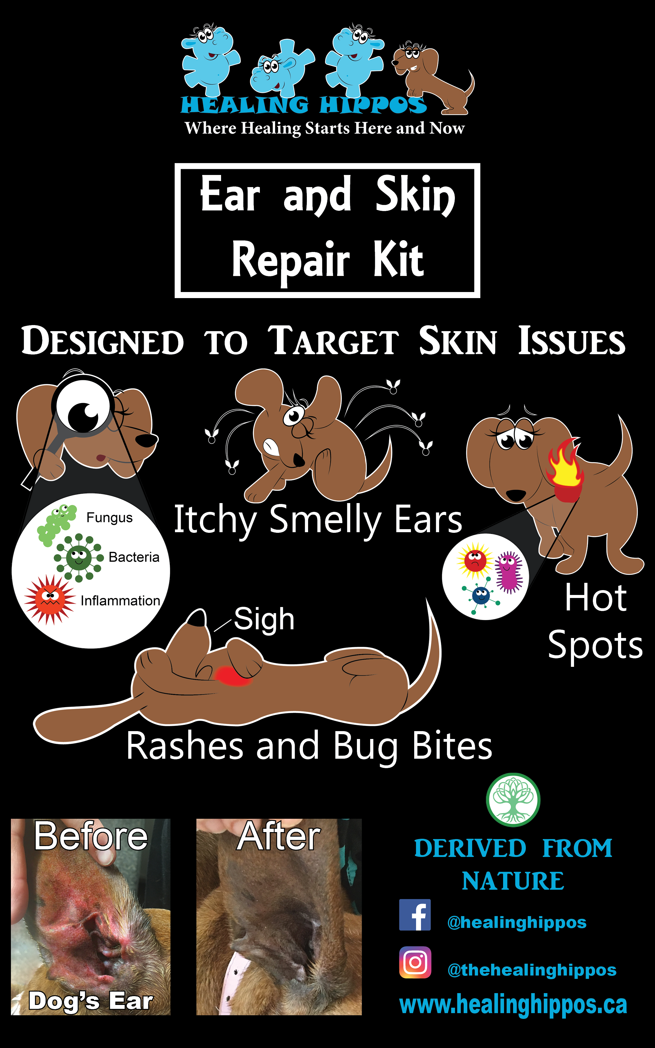 Ear & Skin Repair Kit